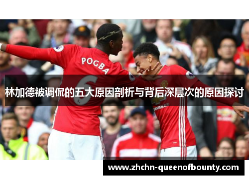 林加德被调侃的五大原因剖析与背后深层次的原因探讨