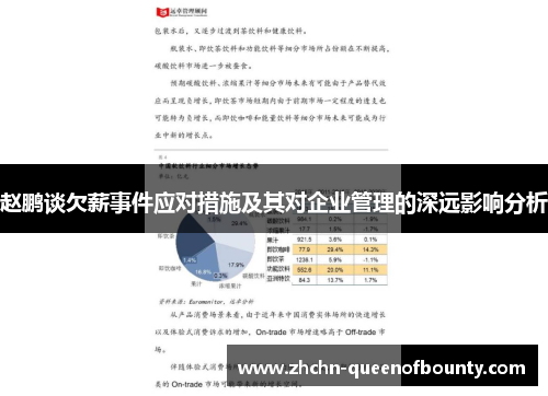 赵鹏谈欠薪事件应对措施及其对企业管理的深远影响分析