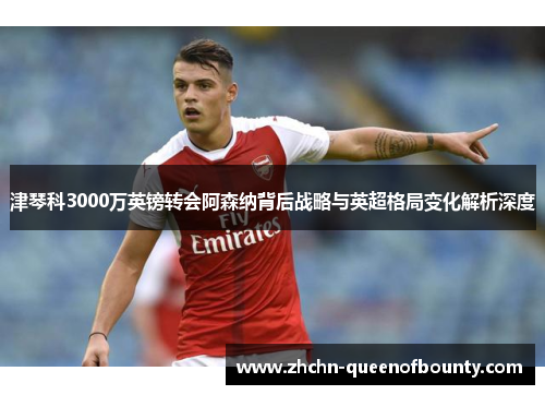 津琴科3000万英镑转会阿森纳背后战略与英超格局变化解析深度